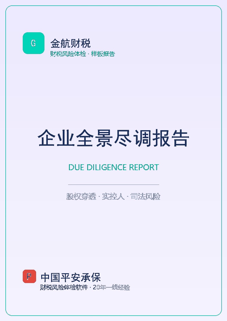 企业全景尽调报告 封面