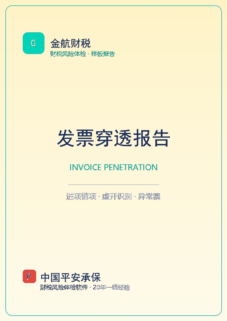 发票穿透报告 封面