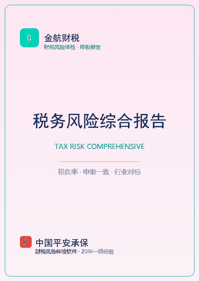 税务风险综合报告 封面